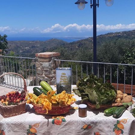 Agriturismo Gli Antichi Sapori - Con Stazione Di Ricarica Veicoli Elettrici Vatolla Exterior foto