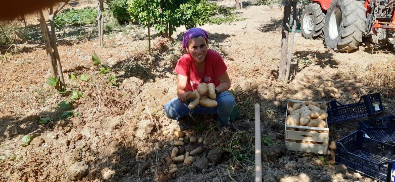 Agriturismo Gli Antichi Sapori - Con Stazione Di Ricarica Veicoli Elettrici Vatolla Exterior foto