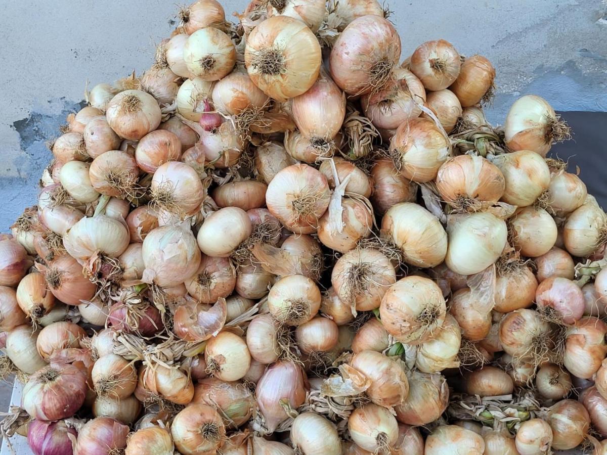 Agriturismo Gli Antichi Sapori - Con Stazione Di Ricarica Veicoli Elettrici Vatolla Exterior foto