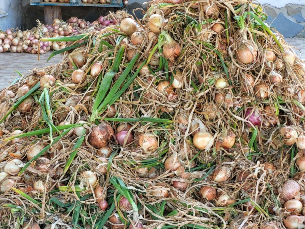 Agriturismo Gli Antichi Sapori - Con Stazione Di Ricarica Veicoli Elettrici Vatolla Exterior foto