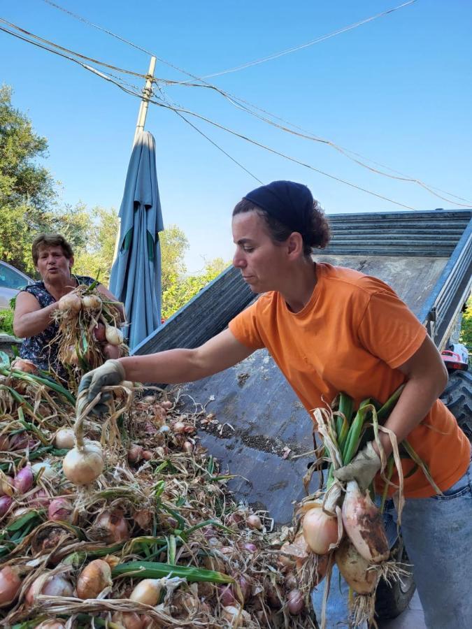 Agriturismo Gli Antichi Sapori - Con Stazione Di Ricarica Veicoli Elettrici Vatolla Exterior foto